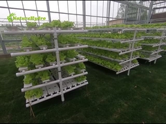 Hydroponic Nft Grow System